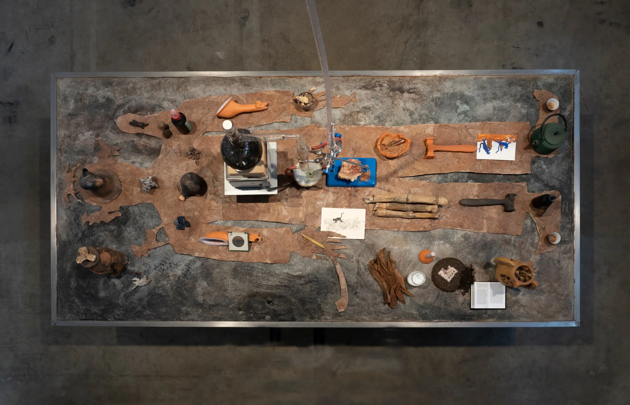 Candice Lin: The Agnotology of Tigers — LSU Museum of Art